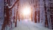 Entrance into the Peace that Passes All Understanding