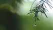 Agree to Let Go of Useless Suffering