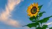 How Self-Discovery Changes Your Relationships