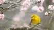 Open Yourself to the Transformative Power of Spring