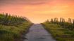 A Higher Lesson in Letting Go and Letting God