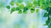 Help Yourself (and Others) Find a New Order of Love