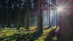 This False Conclusion Ensures There Can Be No End to Our Conflict with Life