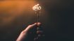 New Answers That End Old Fears, Worries, and the Feeling of Being Alone