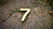 7 Signs of Being Spiritually Asleep