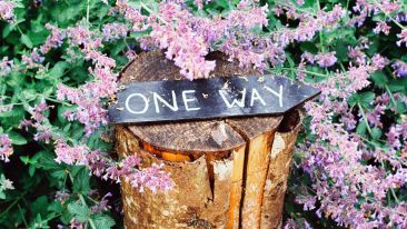 The One True Direction to Go in When the Going Gets Tough