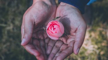 Shatter the Chains of Painful Addictions with a Single Blow