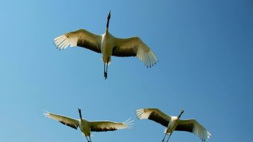 The Power to Rise Above Painful Spiritual Discouragement