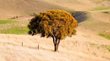 See Through This Great Misconception About Fear and Be Free