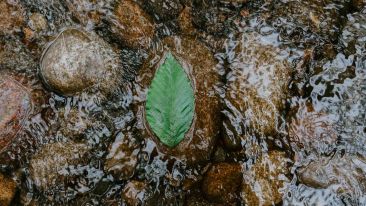 Do the Right Thing at the Right Time and Never Go Wrong