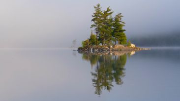 Look In the Mirror of Life and See the Most Beautiful of All