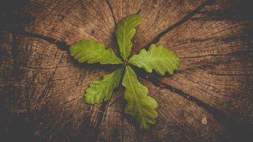 Use Negative Reactions to Help Reveal and Heal the Past