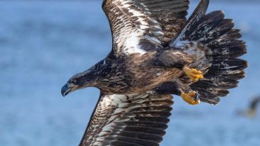 The Power to Part Ways with the Pain of the Past