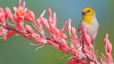 How to Ask For and Receive a New Start in Life