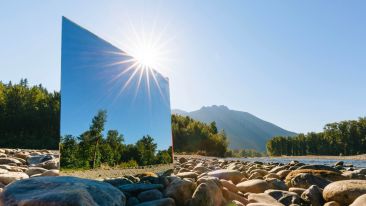 Welcome this Shocking Revelation and Set Yourself Free