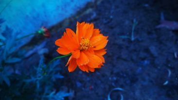 Where to Find Security In an Increasingly Insecure World