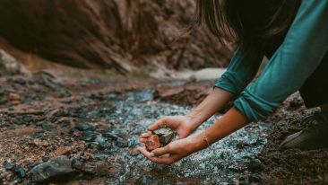 Freedom to Walk Away from Painful Worry and Fearful Thoughts