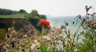 Use Your Life As a Workshop in Self-Awakening