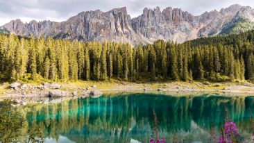 Re-Write the Story of Your Life Starting with Page One