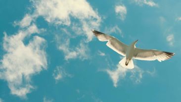 The Unthinkable Secret of a Quiet Mind