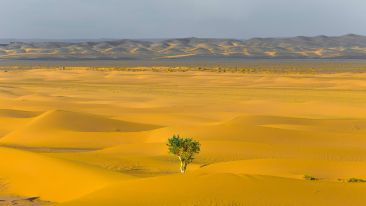 One Thing Every Relationship Must Have to Keep Growing