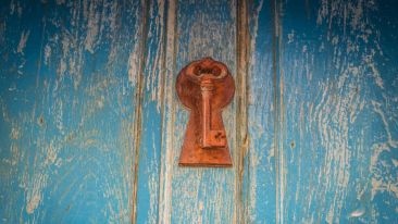 The Lost Keys to Complete Self-Renewal