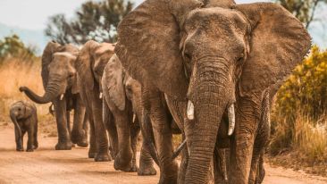 Transforming a Fear-Filled Heart into a Fearless One