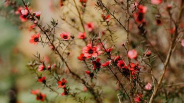 Find the Light Within the Darkness and Be Set Free