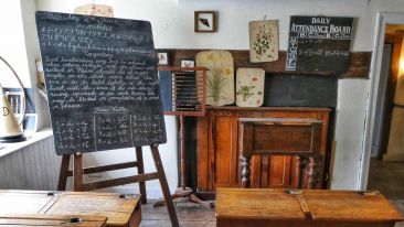 Learning to Love ALL Life's Lessons is the Secret of Self-Liberation