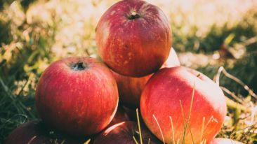 Physician Heal Thyself