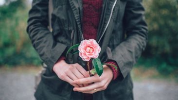 Online Study Group Meeting for Tuesday (8/18/2015)