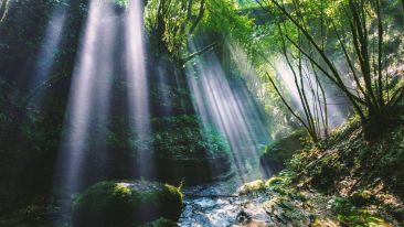 Online Study Group Meeting for Monday (9/21/2015)