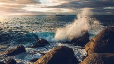 Online Study Group Meeting for Tuesday (10/6/2015)