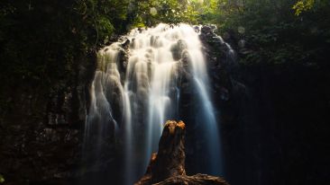 Online Study Group Meeting for Monday (10/19/2015)