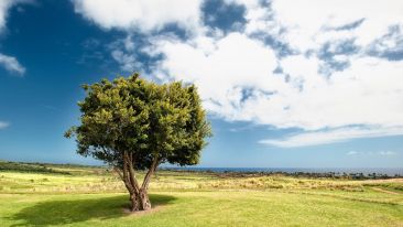 Online Study Group Meeting for Monday (11/2/2015)