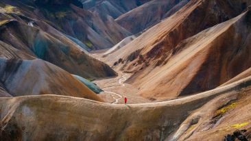 To Change What You Get from Life Try Giving Up Some of You