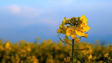 Two Misperceptions that Keep You in Conflict with Real Life