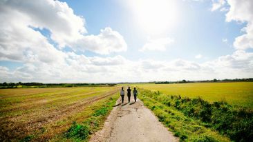 Three Insights that Guarantee YOU Have a Successful Life