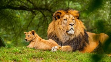 The Wisdom and the Power to Be the Master of Your Own Life