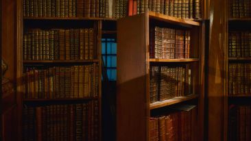 Go Beyond Painful Limitation to Realize Fearless Being