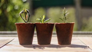 Go Beyond Painful Limitation to Realize Fearless Being