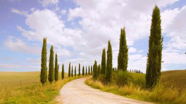 Discover the Road Back Home that Begins and Ends in You