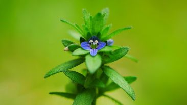 Make the Million-Year Leap in Consciousness