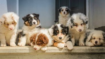 Seven Simple Truths to Free You from the Blues