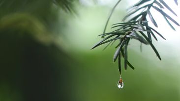 Agree to Let Go of Useless Suffering