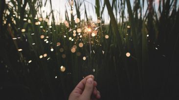 Let True Purpose Renew Your Life