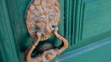 Fear is Afraid You Will Learn This Secret