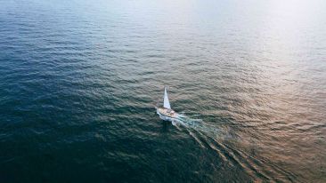 Free Yourself from the House of Stress