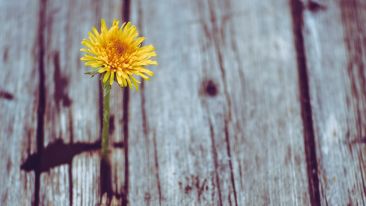 The Power to Dismiss the Darkness Knocking at Your Door