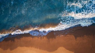 The Needfulness that Leads to New Self-Knowledge